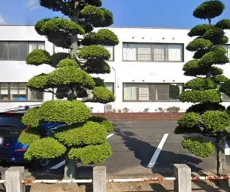 医療法人社団橘会　新生病院